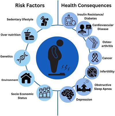 Therapeutic advances in obesity management: an overview of the therapeutic interventions